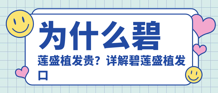 碧莲盛植发价格因素解析