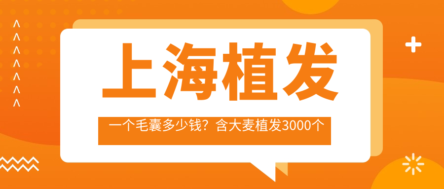 上海植发一个毛囊的费用
