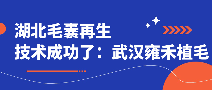 毛囊再生技术最新进展