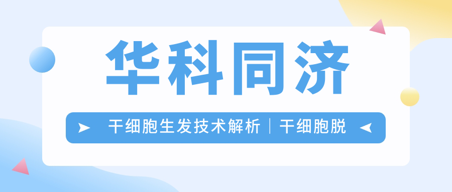 干细胞生发技术原理图解