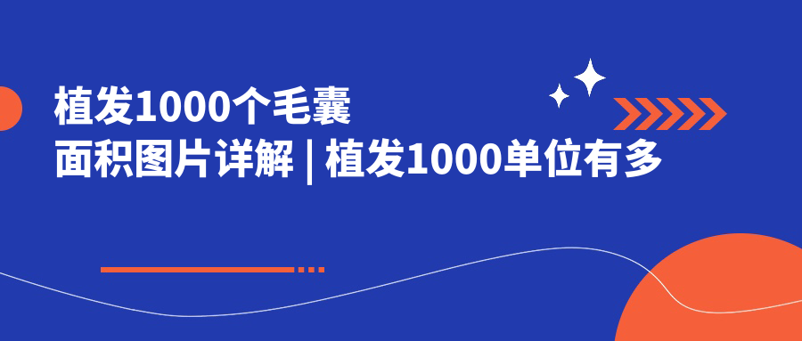 植发1000个毛囊面积图片 植发1000个毛囊面积图片