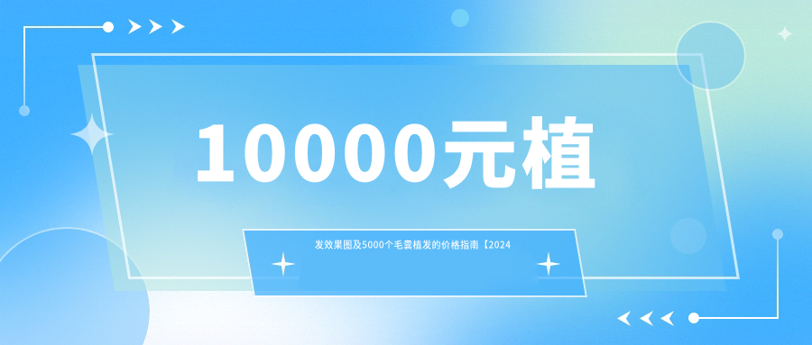 10000元植发效果图