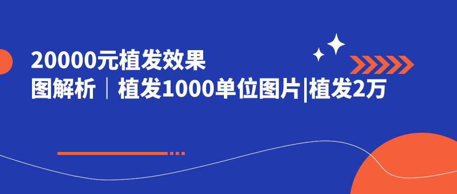 植发1000单位效果