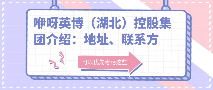咿呀英博（湖北）控股集团简介