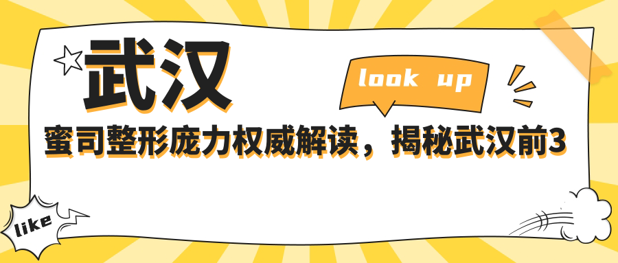 武汉蜜司整形庞力服务项目 武汉蜜司整形庞力服务项目