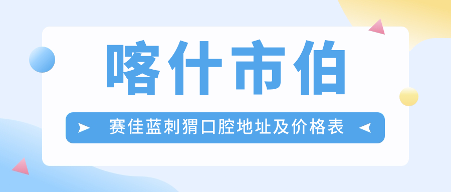 喀什市伯赛佳蓝刺猬口腔地址及价格表公布,内含交通指南及预约方式