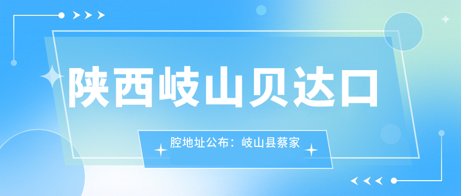 陕西岐山贝达口腔地址公布:岐山县蔡家坡道北人民东路,内含价格表和乘车路线